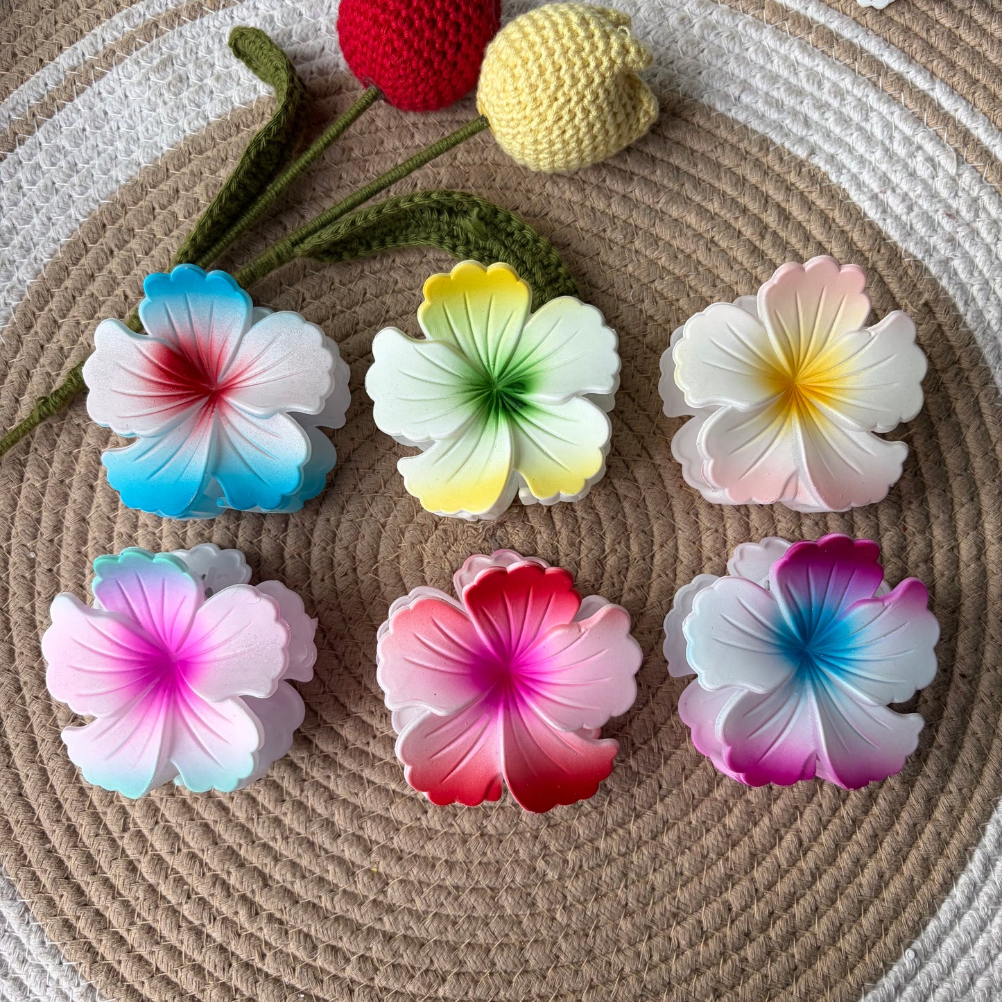 Hibiscus Dual Colours Matte Big Size (6 Pieces)