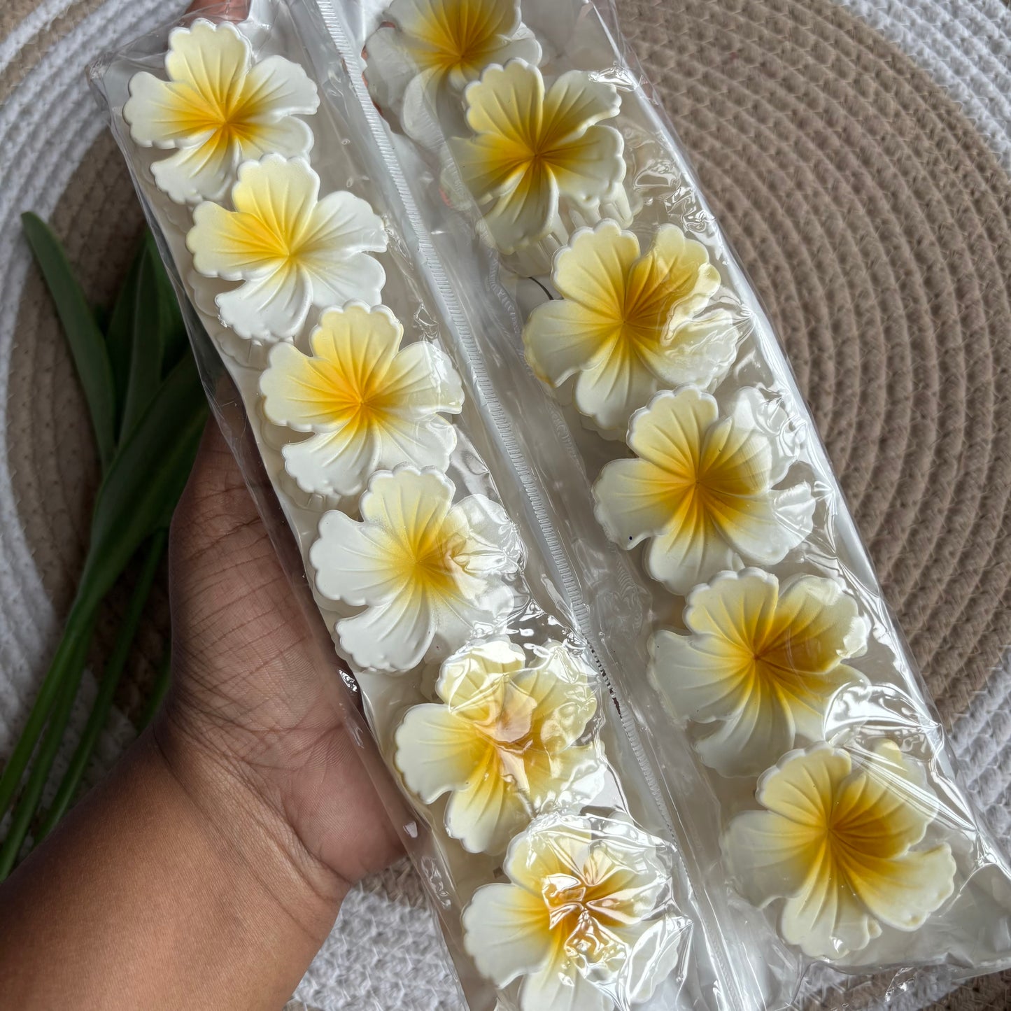 Matte Hibiscus (12 Pieces )