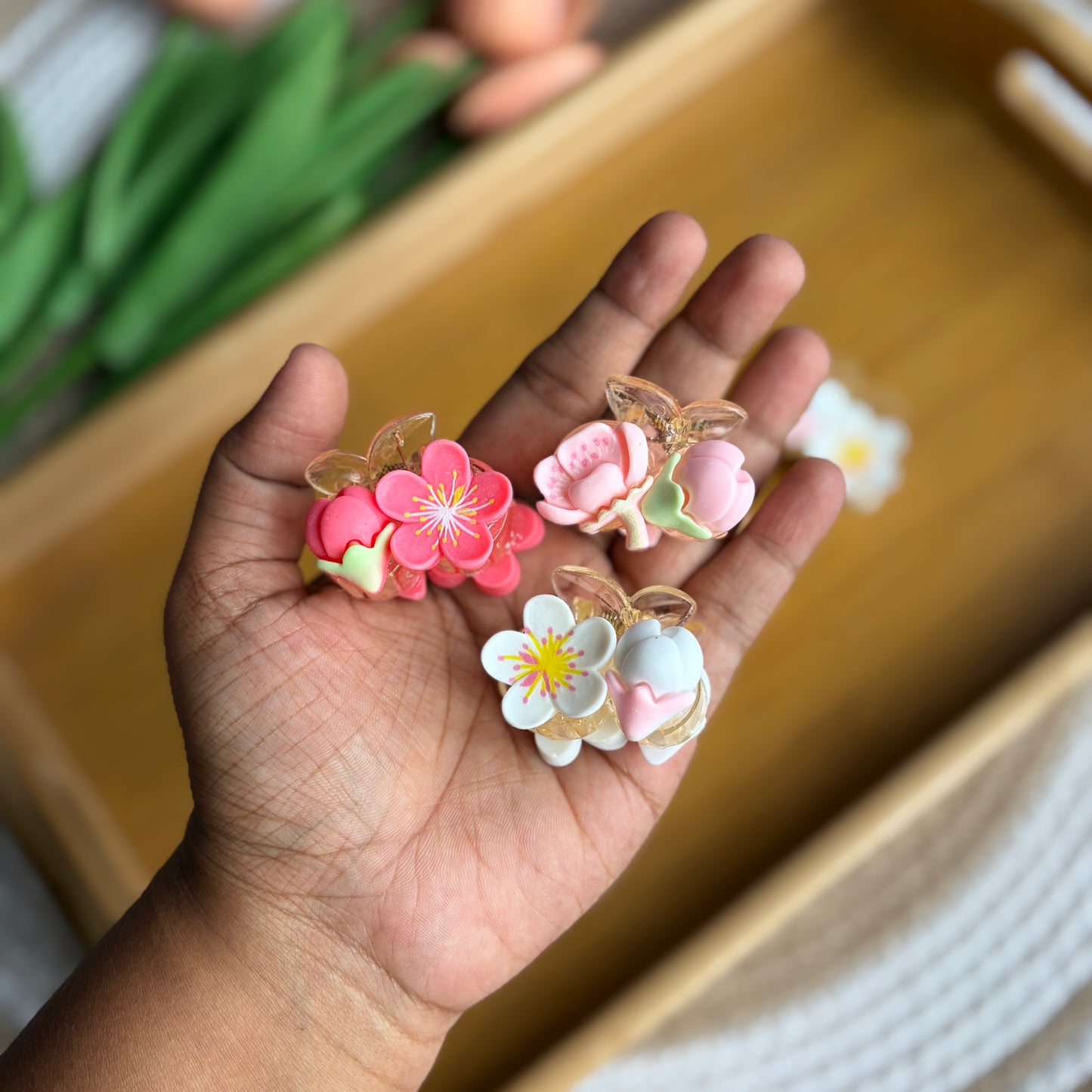 Premium Korean Claws (6 Pieces)