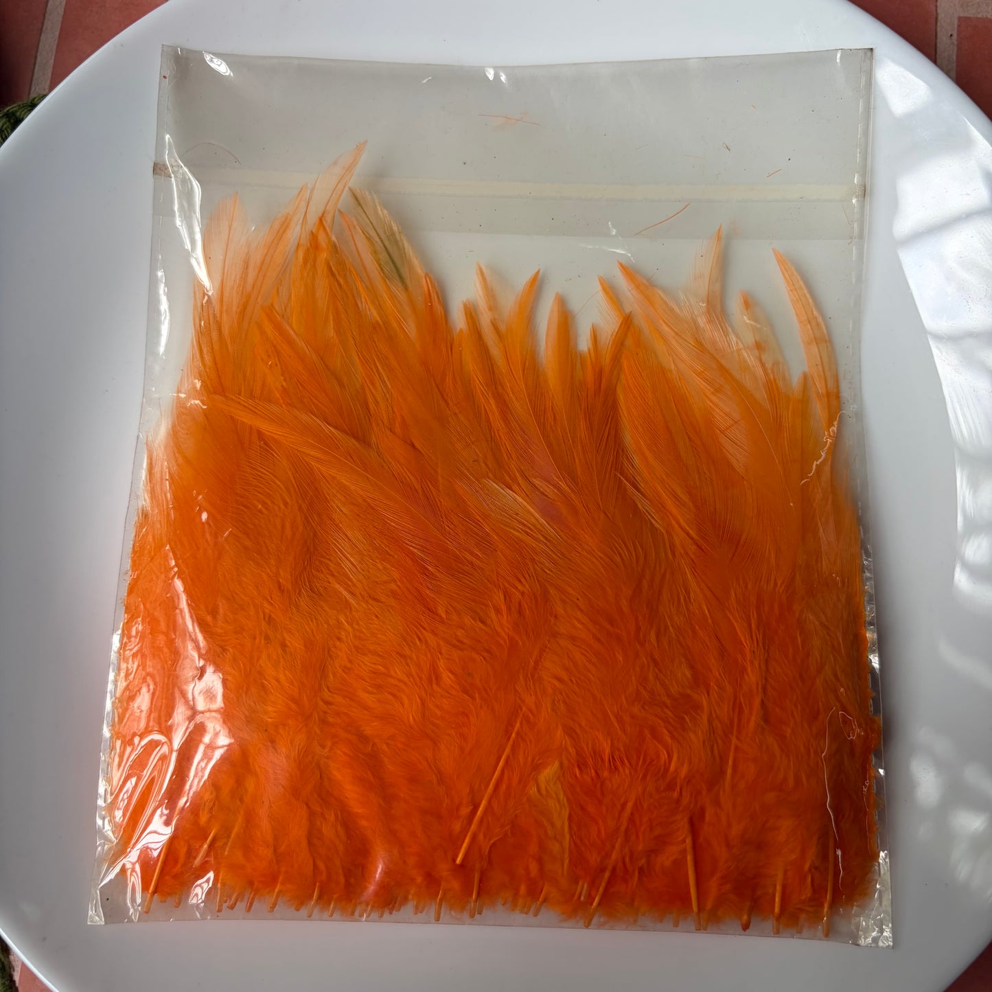 Pointed Feathers (45 Feathers apx) Size - 3 - 7 Inches