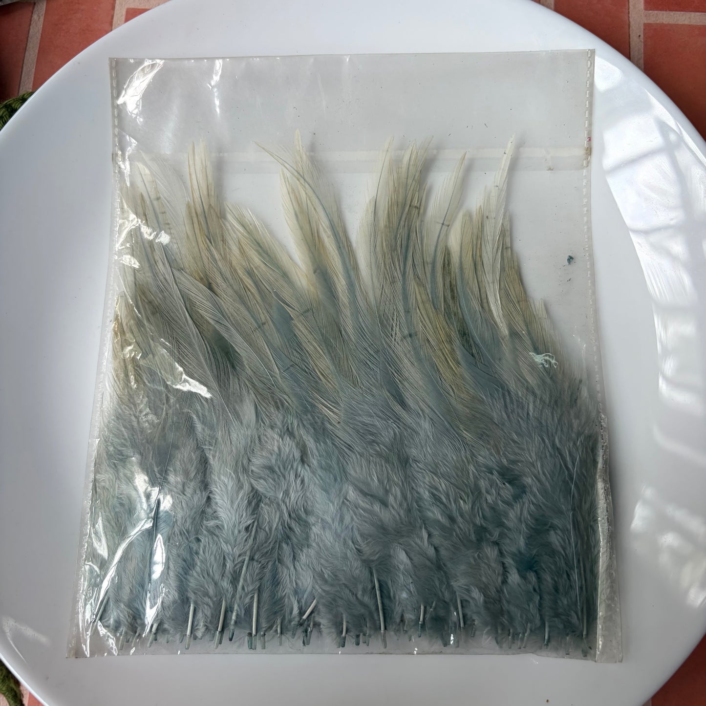 Pointed Feathers (45 Feathers apx) Size - 3-7 inches