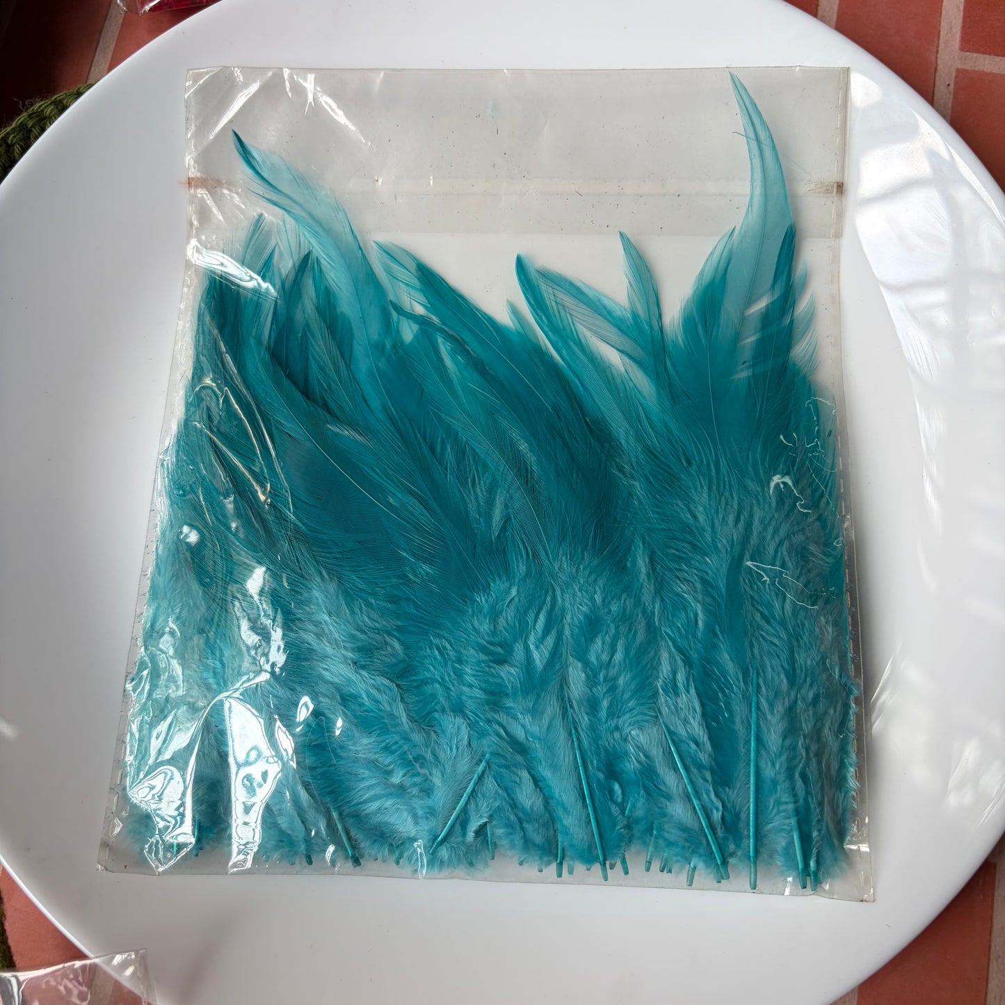 Pointed Feathers (45 Feathers apx)Size - 3 - 7 Inches