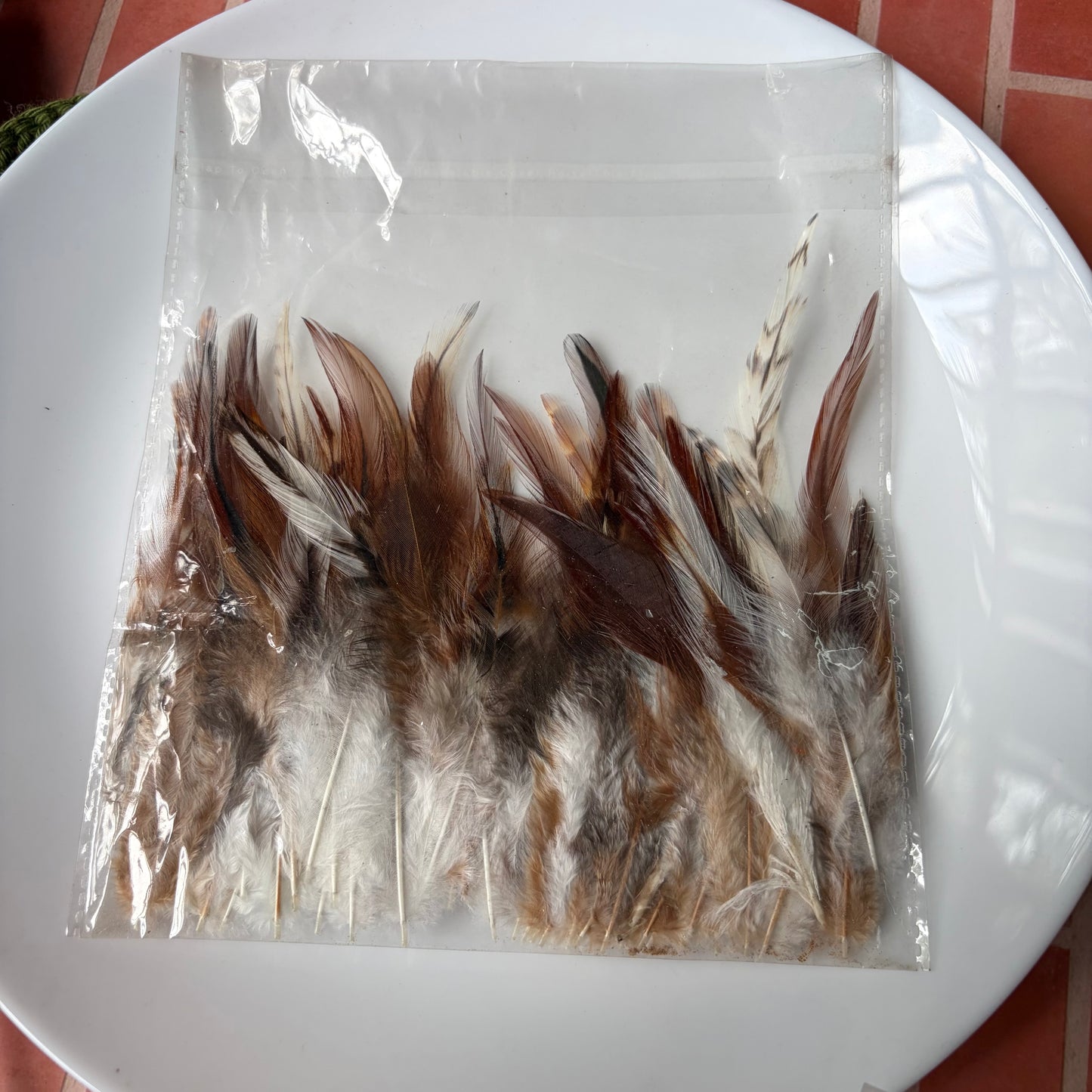 Pointed Feathers (45 Feathers apx)Size - 3 - 7 Inches