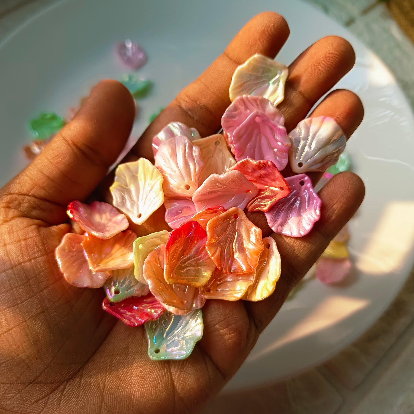 Multi Colour Shaded Shells(10 Grams)