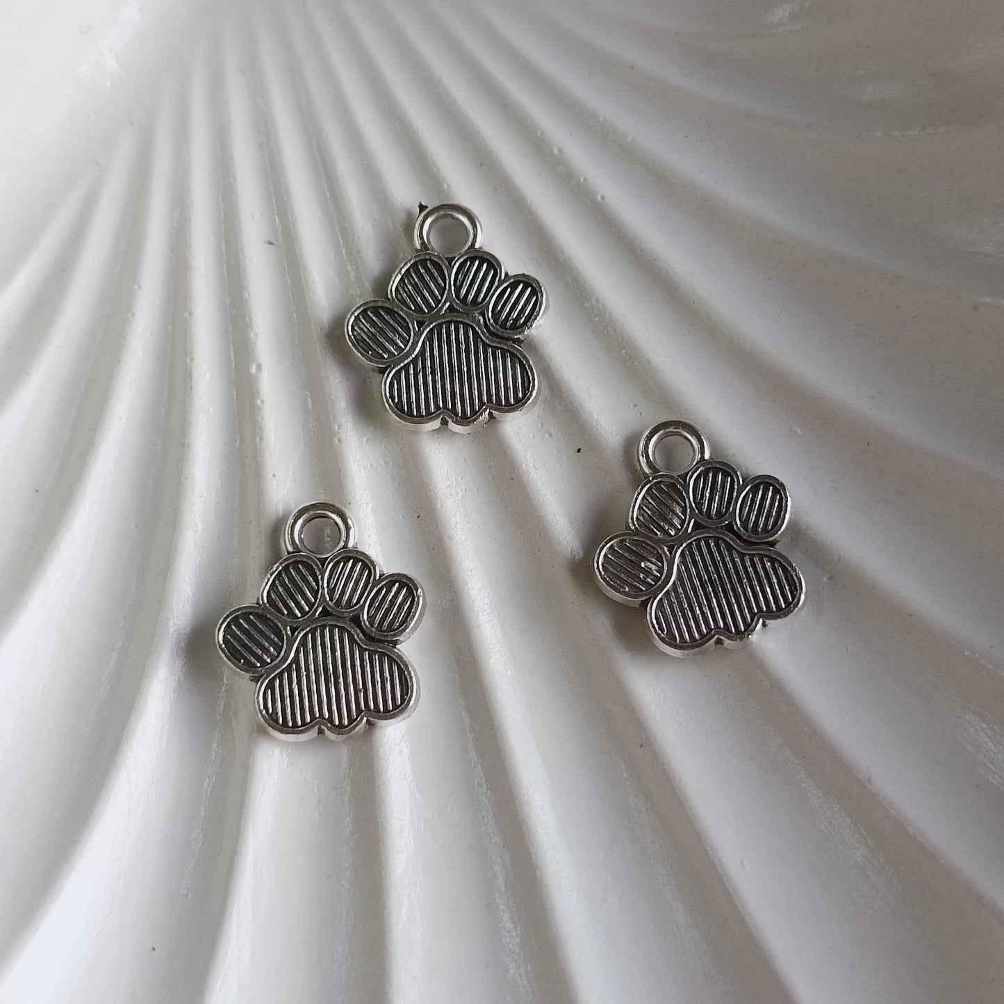 Paw (5 pieces)