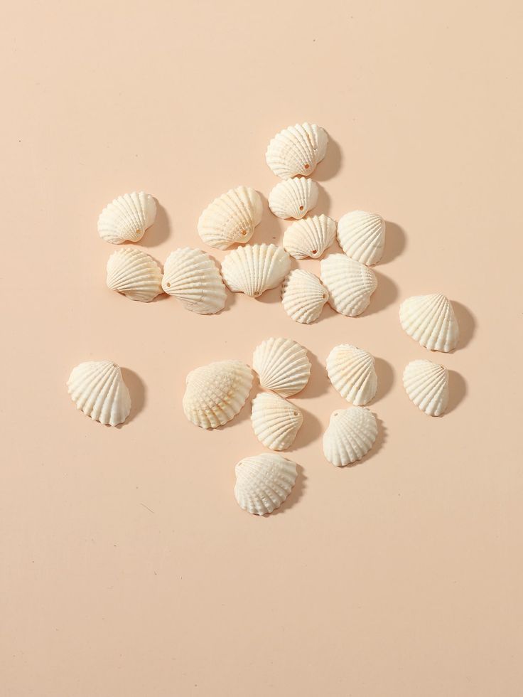 Sea Shells Natural(10 Pieces)