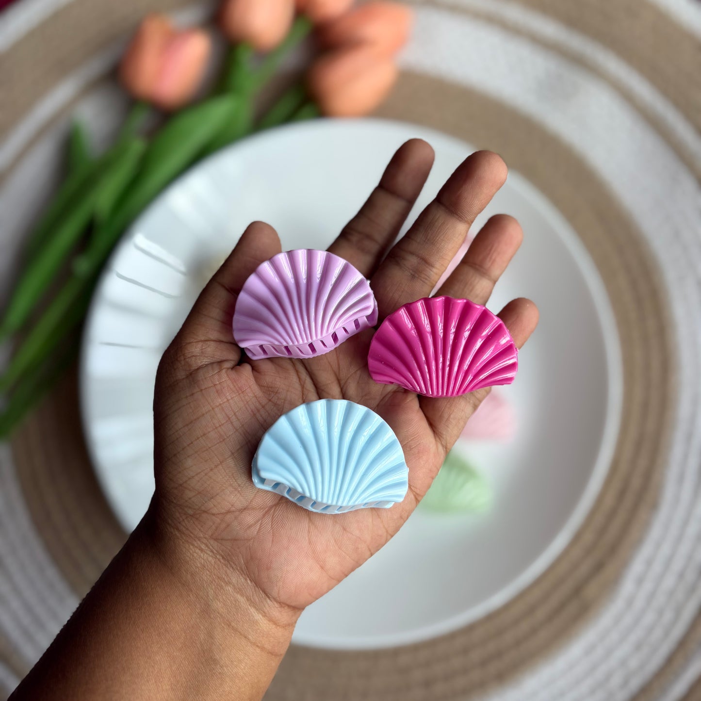 Glossy Shells (12 Pieces)