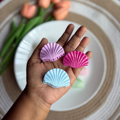 Glossy Shells (12 Pieces)