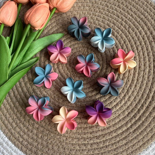 Dual Colour Flower Claws (12 Pieces)