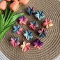 Dual Colour Flower Claws (12 Pieces)