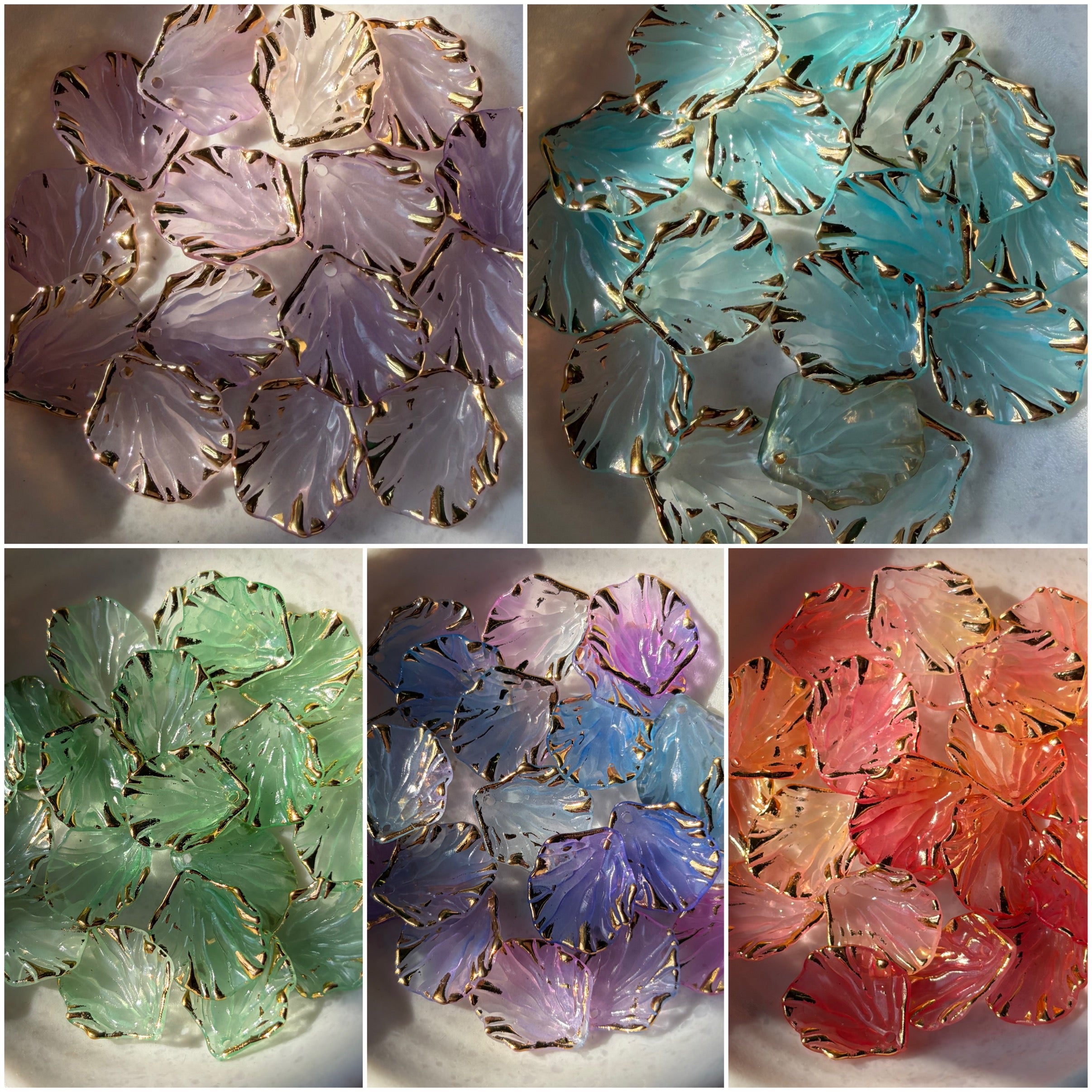 Premium Shells (10 grams) – Nylaa Crafts