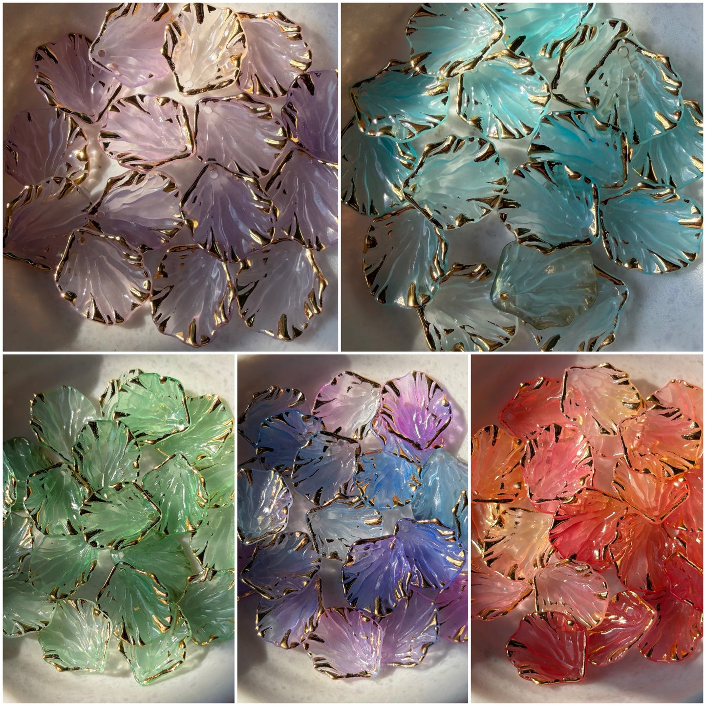 Premium Shells (10 grams)