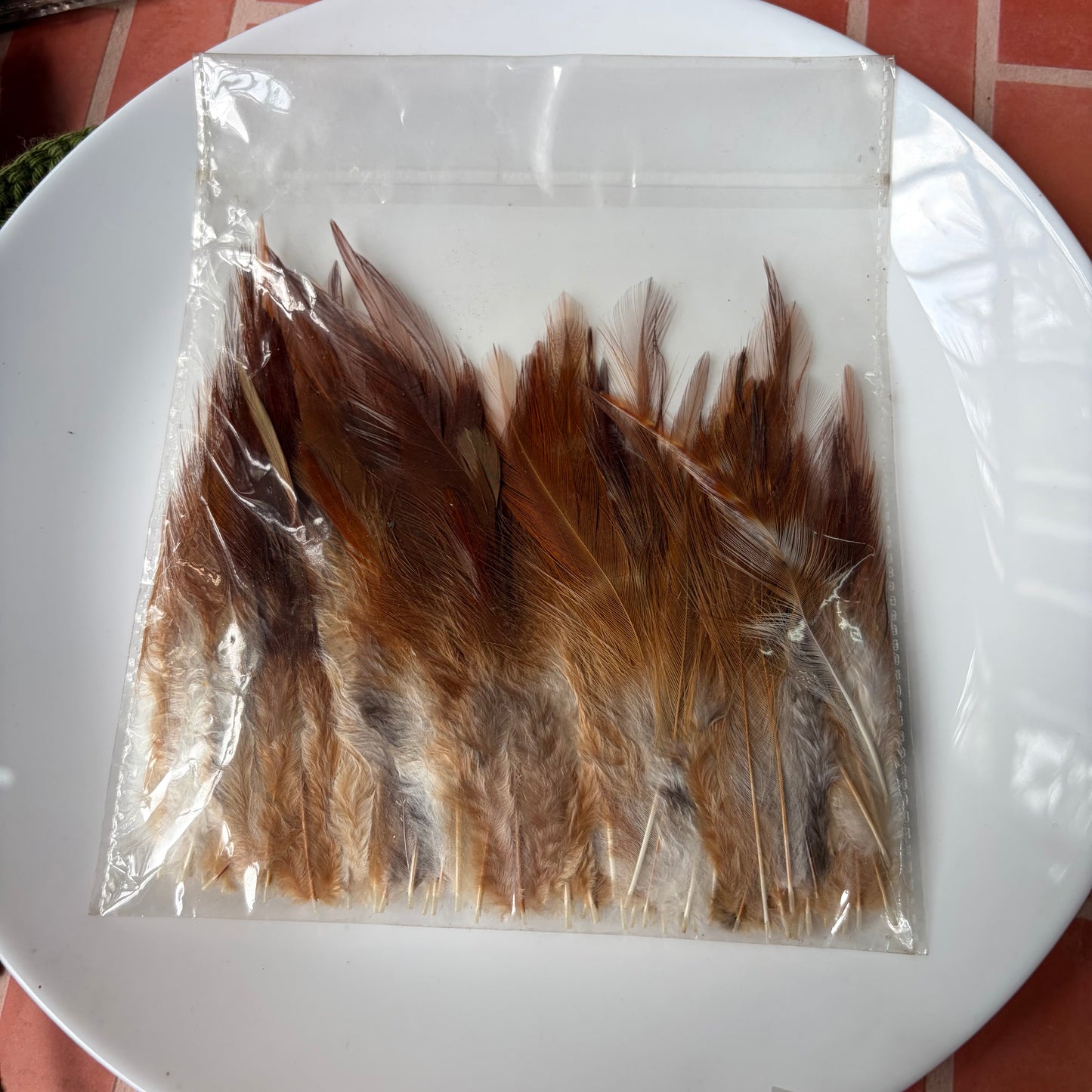 Pointed Feathers (45 Feathers apx)Size - 3 - 7 Inches