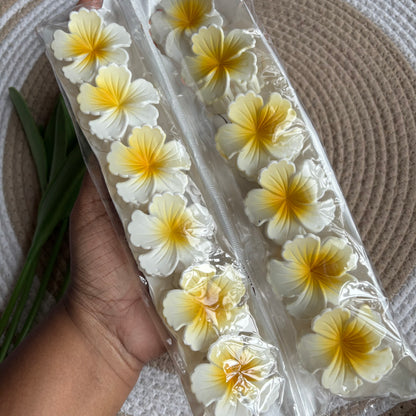 Matte Hibiscus (12 Pieces )