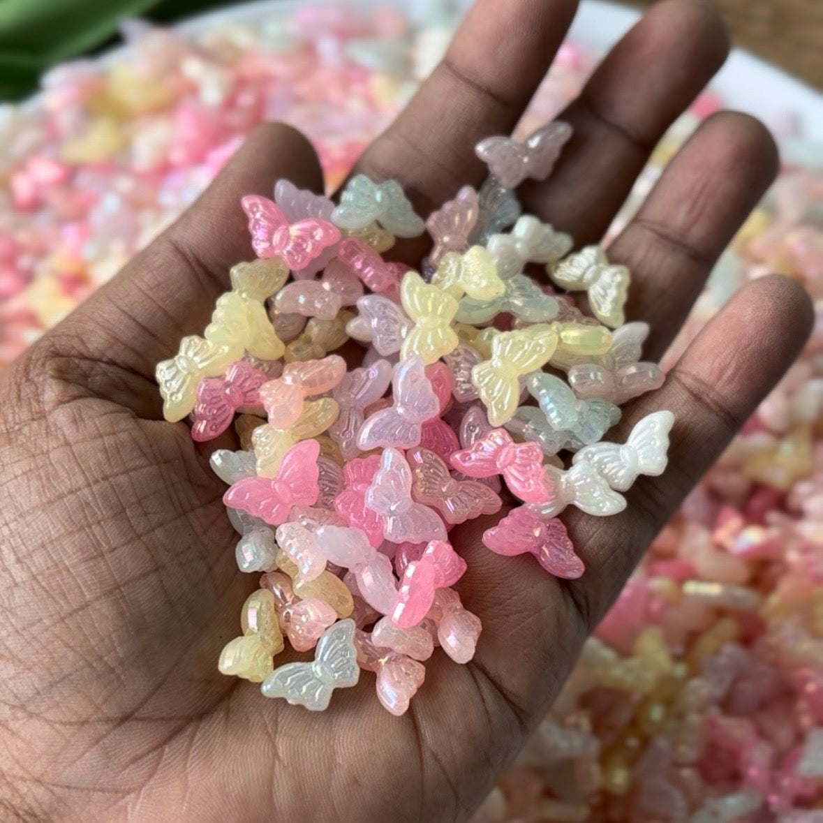 Rainbow Shine Butterfly(10 Grams)