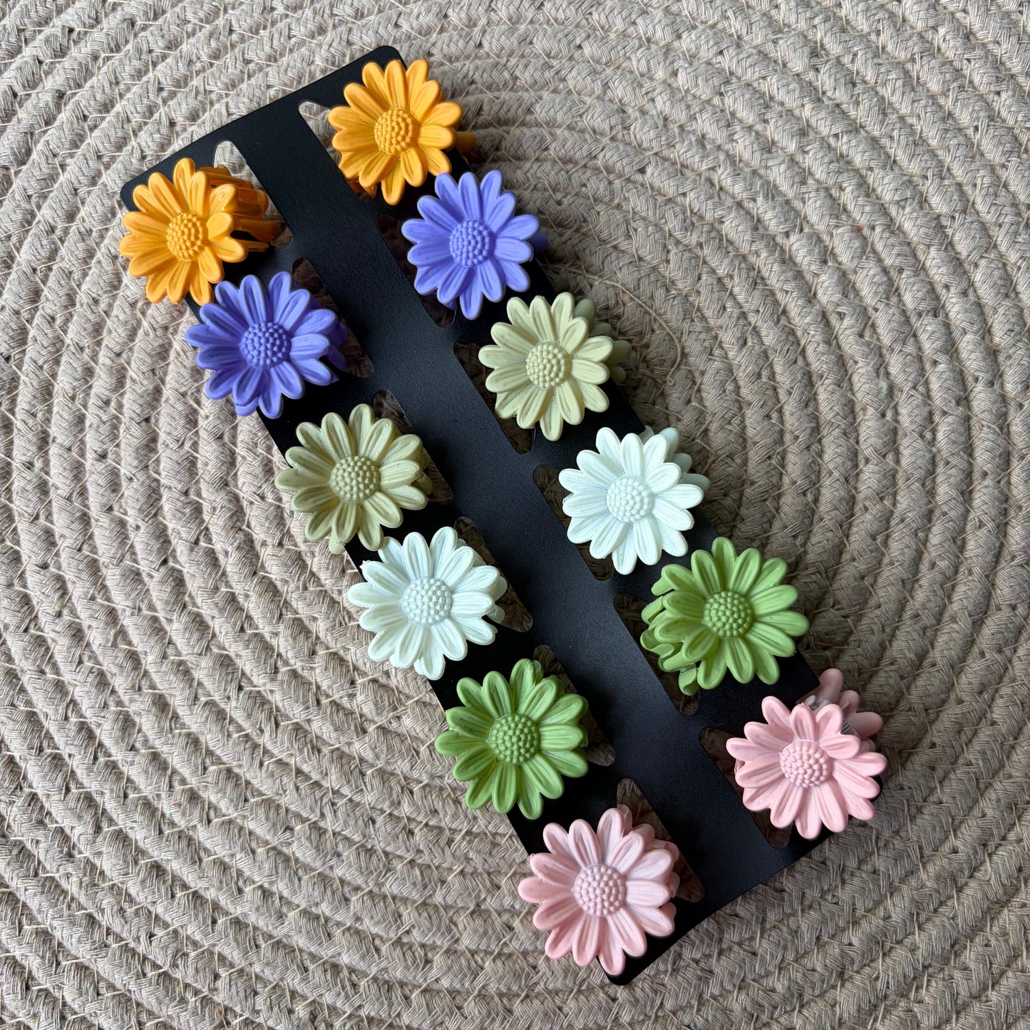 Matte Daisy (12 Pieces)