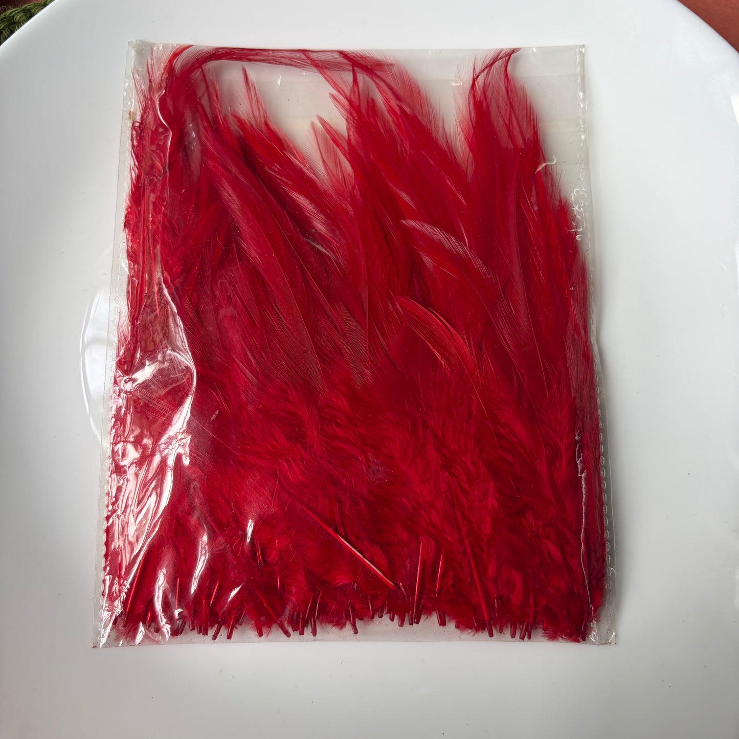 Pointed Feathers (45 Feathers apx) Size - 3-7 inches