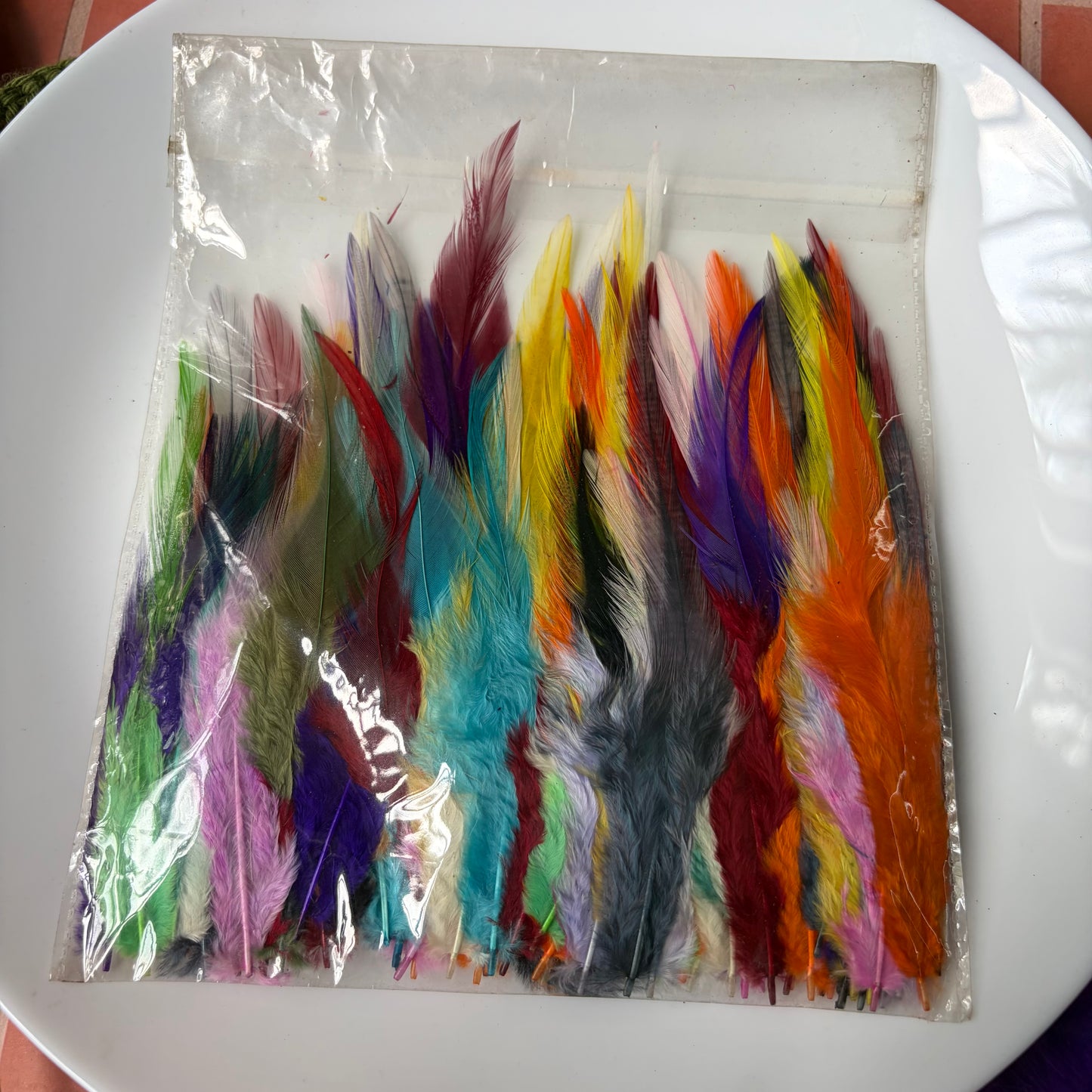 Pointed Feathers (45 Feathers apx) Size - 3-7 inches