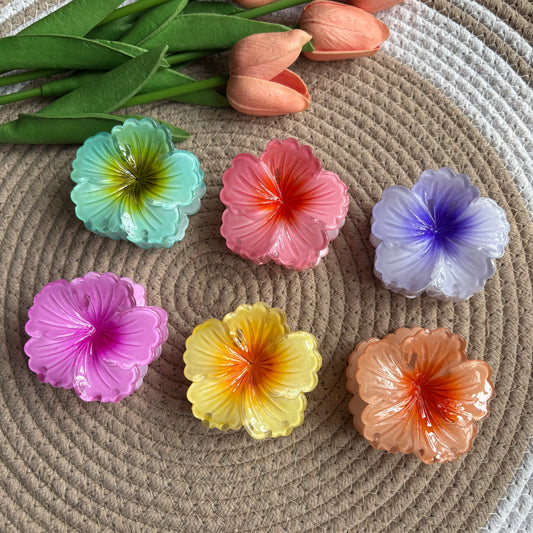 Shining Hibiscus Big size (6 Pieces)