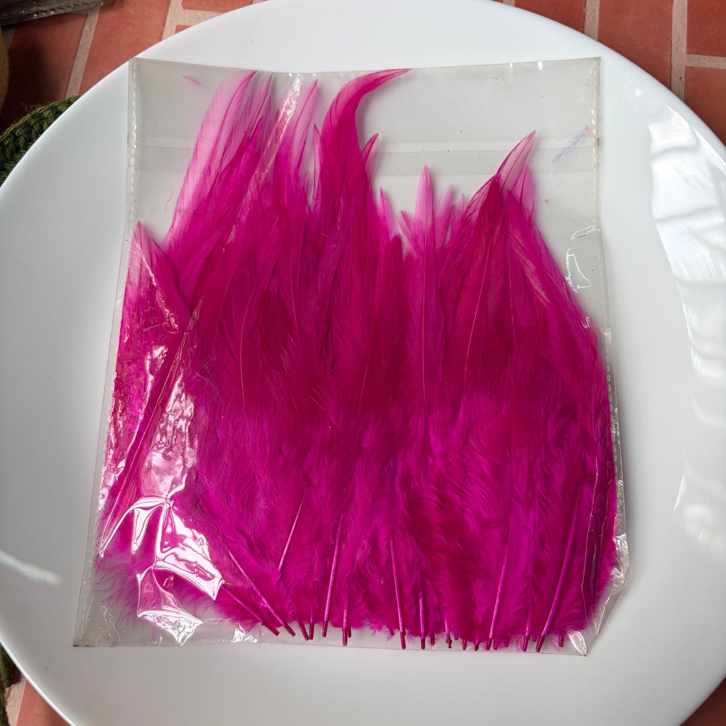 Pointed Feathers (45 Feathers apx)Size - 3 - 7 Inches