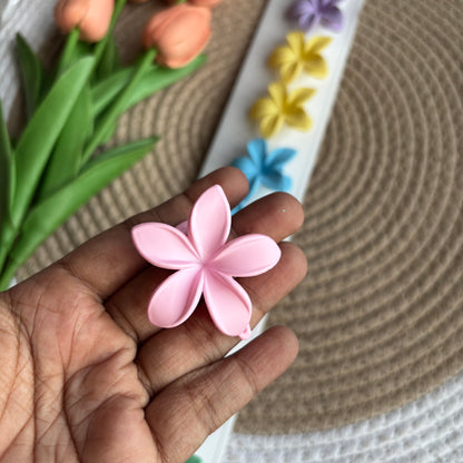 Premium Matte Hairpins (10 Pieces)