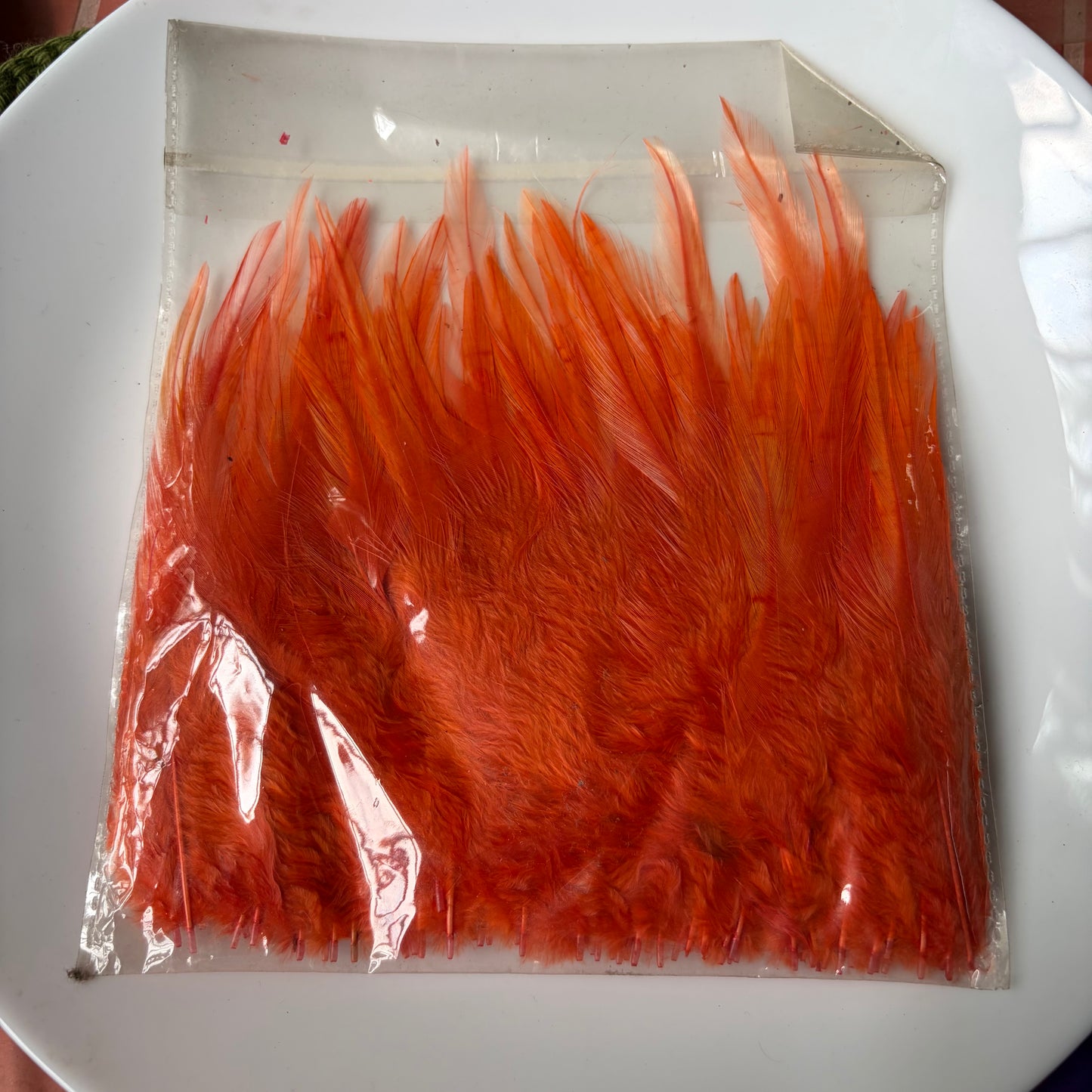 Pointed Feathers (45 Feathers apx) Size - 3-7 inches