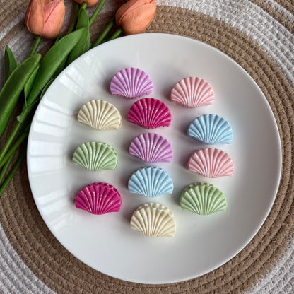Glossy Shells (12 Pieces)