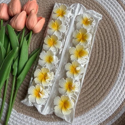 Matte Hibiscus (12 Pieces )