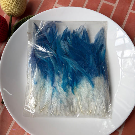 Dual Shaded Pointed Feathers (45 Feathers apx)Size - 3 - 7 Inches