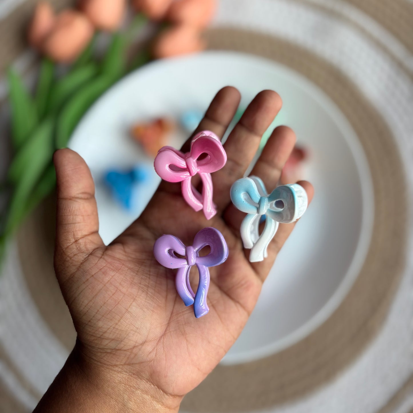 Bow Dual Colours (12 Pieces)