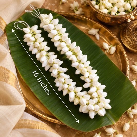 Jasmine Flower Strings