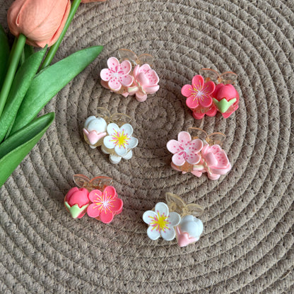 Premium Korean Claws (6 Pieces)