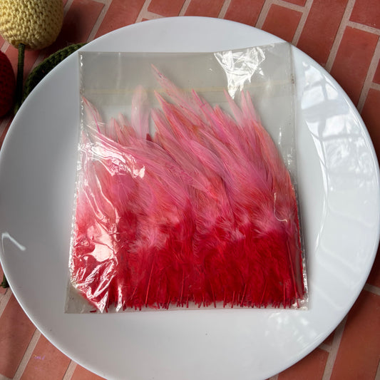 Dual Shaded Pointed Feathers (45 Feathers apx)Size - 3 - 7 Inches