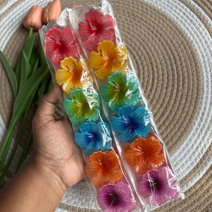 Glossy Hibiscus (12 Pieces)