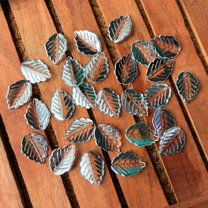 Silver Foil Leaf (10 Grams)