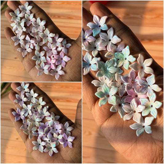 Dual Shade Flowers (10 Grams)