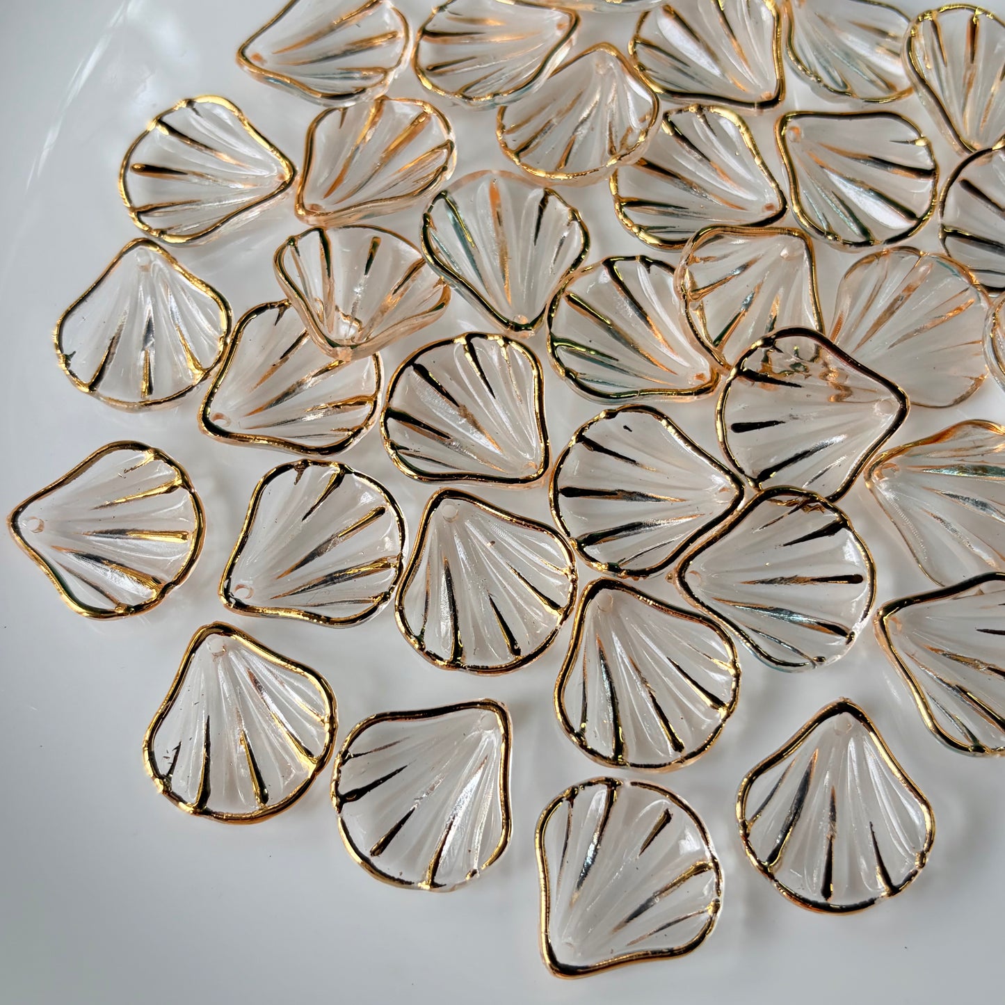 Transparent Shells (10 Grams)