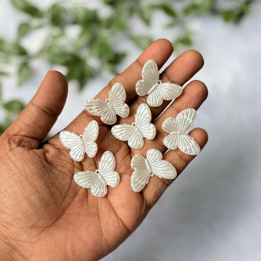 Acrylic Butterfly (10 Grams)