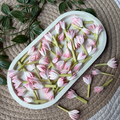 Jaadhi Mullai Artificial Flower (50 Pieces)