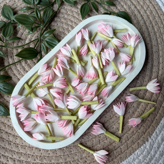 Jaadhi Mullai Artificial Flower (50 Pieces)