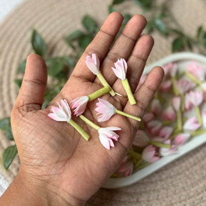 Jaadhi Mullai Artificial Flower (50 Pieces)