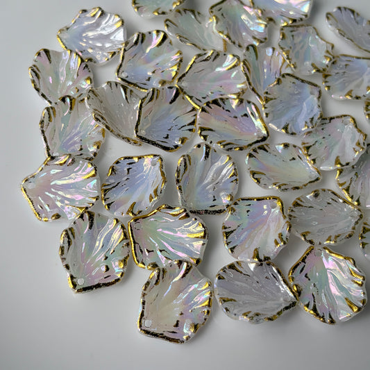 Rainbow Acrylic Shells (10 Grams)