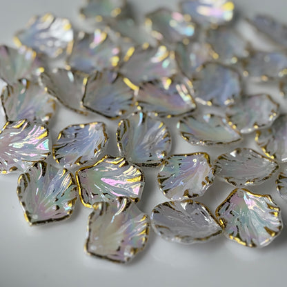Rainbow Acrylic Shells (10 Grams)