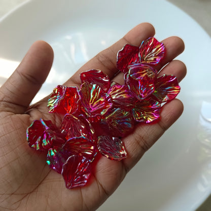 Rainbow Shine Shells(10 Grams)