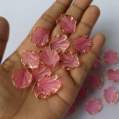 Premium Shells Matte(15 Grams)