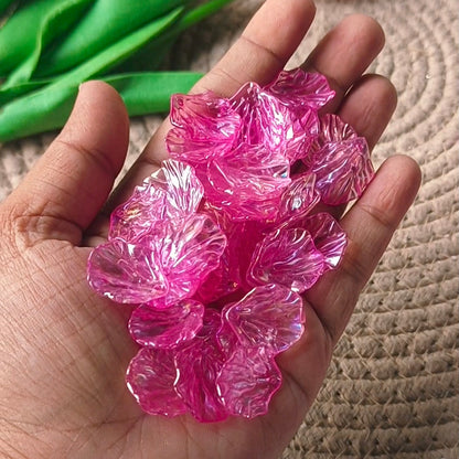 Rainbow Shine Shells(10 Grams)