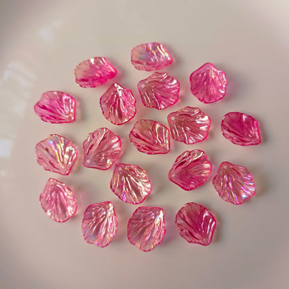 Rainbow Shine Shells(10 Grams)