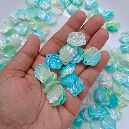 Dual Colour Shell(15 Grams)