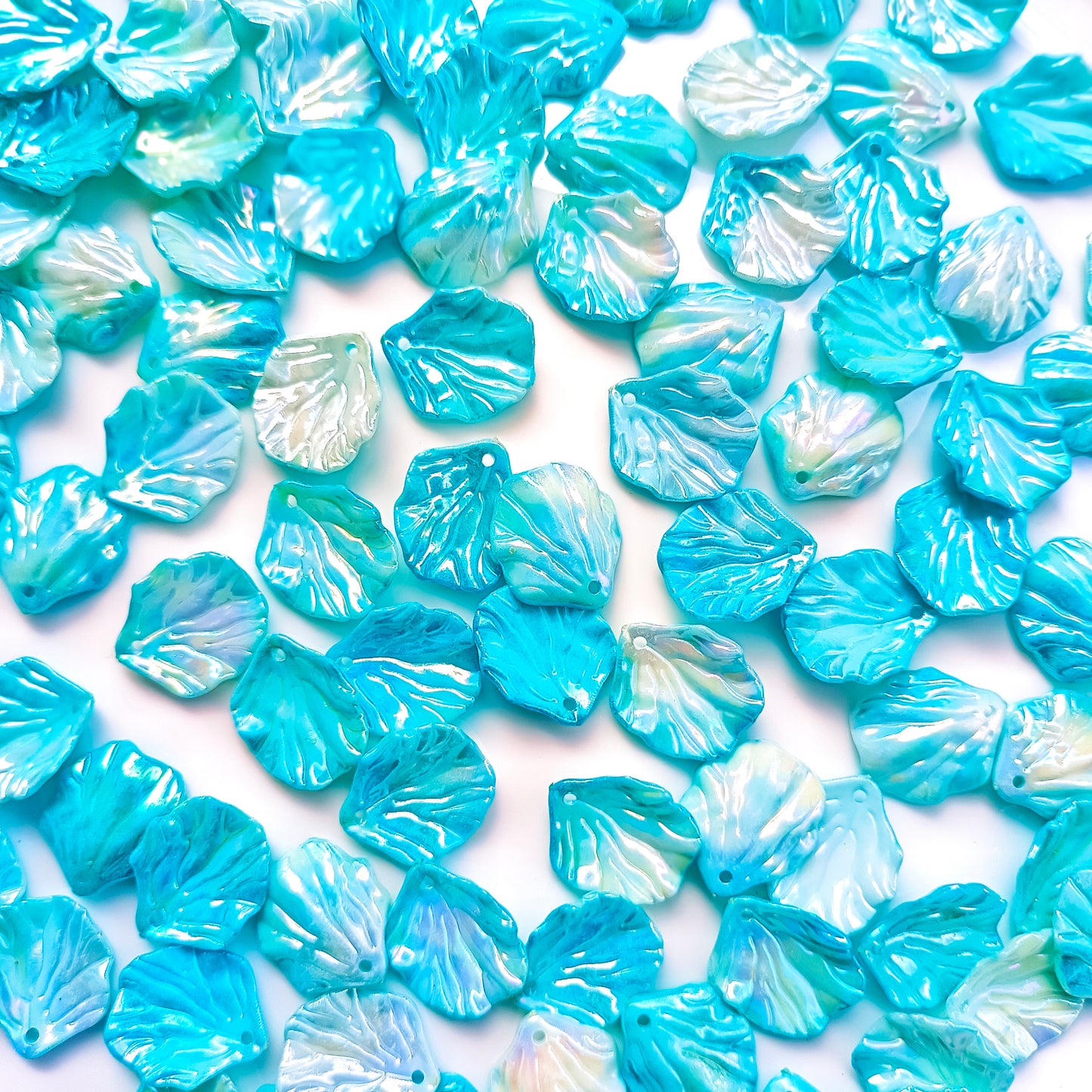 Dual Colour Shell(15 Grams)