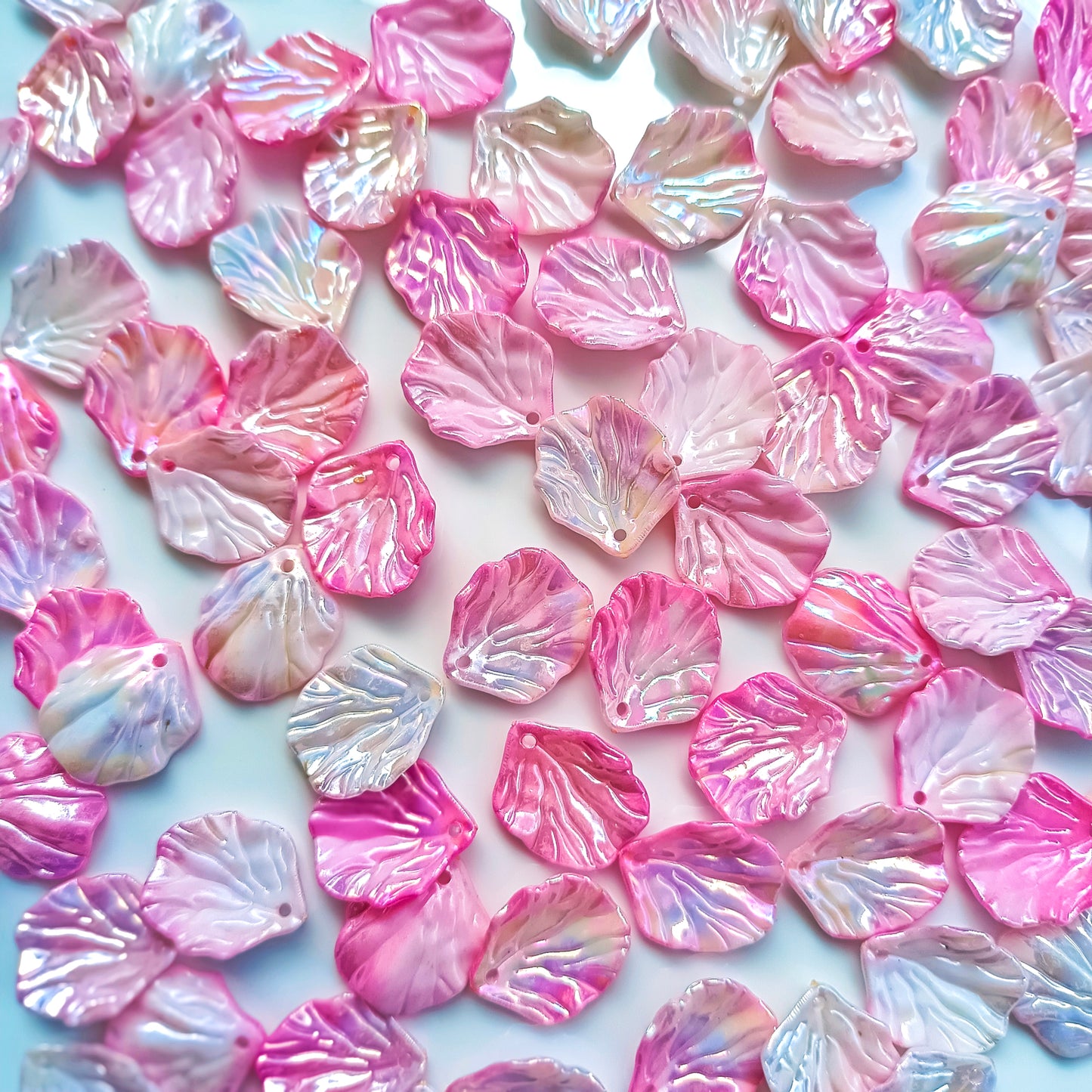 Dual Colour Shell(15 Grams)